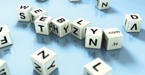 nama_domain